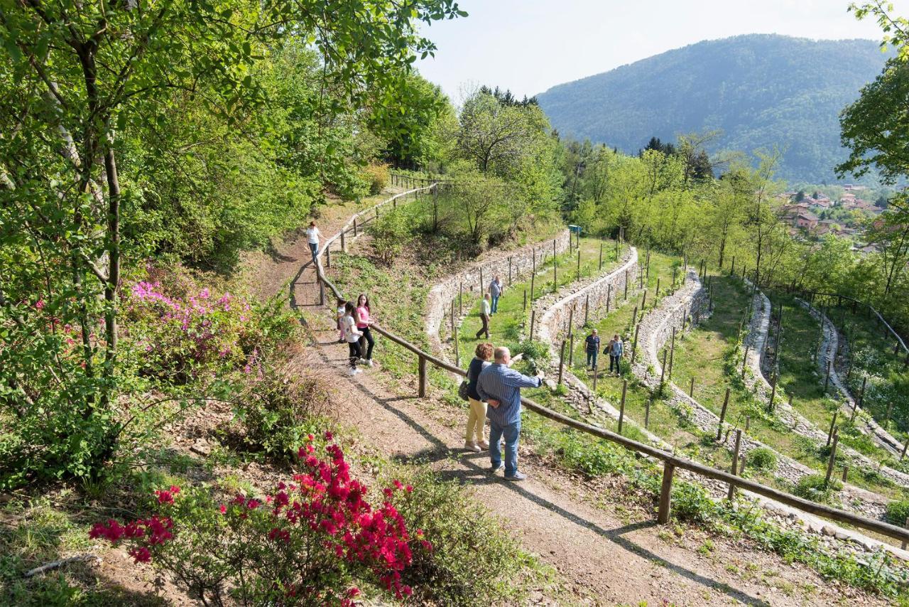 Agriturismo Al Motto Cambiasca Екстериор снимка